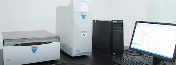 ����ɫ����