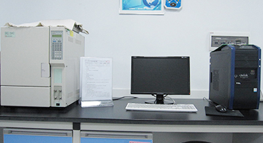 ����ɫ����