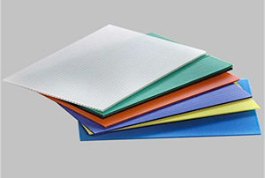 ����PP���