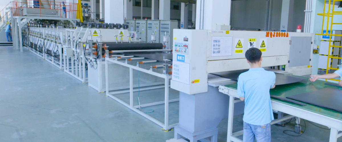 PP���Ѱ強����